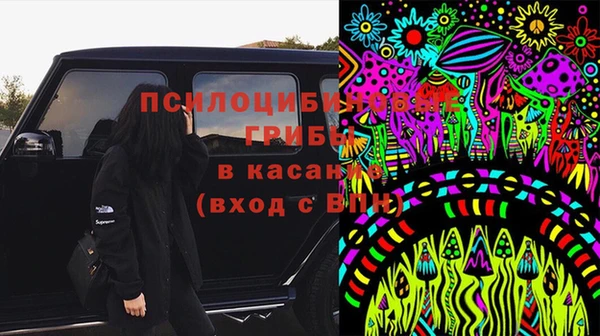спиды Инта