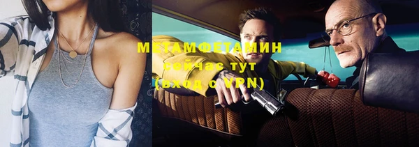 мдпв Инсар