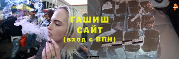 мдпв Инсар