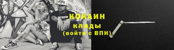 мдпв Инсар