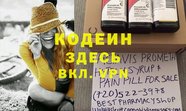 мдпв Инсар