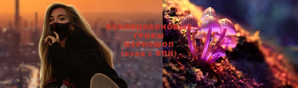 спиды Инта