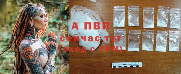 спиды Инта