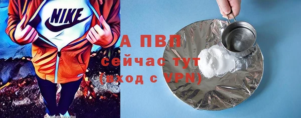 мдпв Инсар