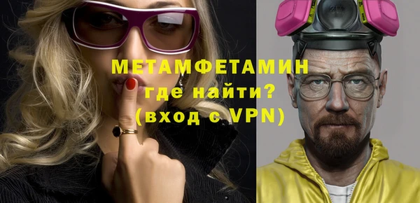мдпв Инсар