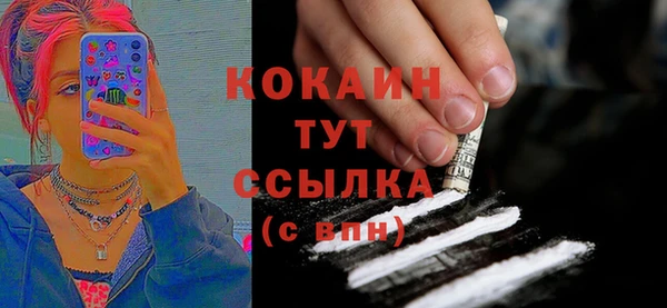 мдпв Инсар