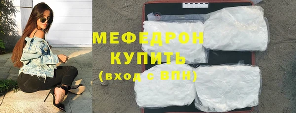 мдпв Инсар
