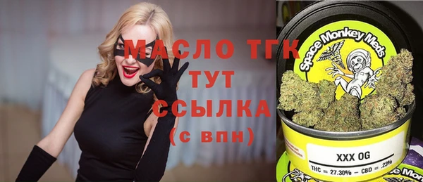 мдпв Инсар