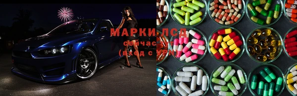 мдпв Инсар